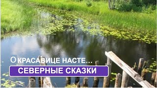 Сказка «О красавице Насте»