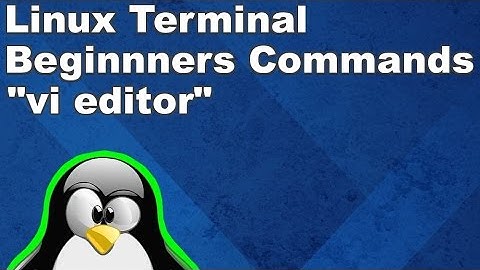 Linux Terminal for Beginners Commands 18: vi editor