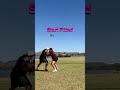 Offensive line center back block drills. Using football problems to develop efficient movement
