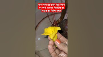 कनेर पुष्प को पाँच स्थान पर स्पर्श कराने का लाभ#ytshorts #upay #shivling #shivpuran @bhakti_CLIP92
