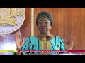 Abike Dabiri Begs NASS To Take Action On Diaspora Voting