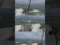 Pontoon Takes a Bow Wave  - Smith Point Jetty