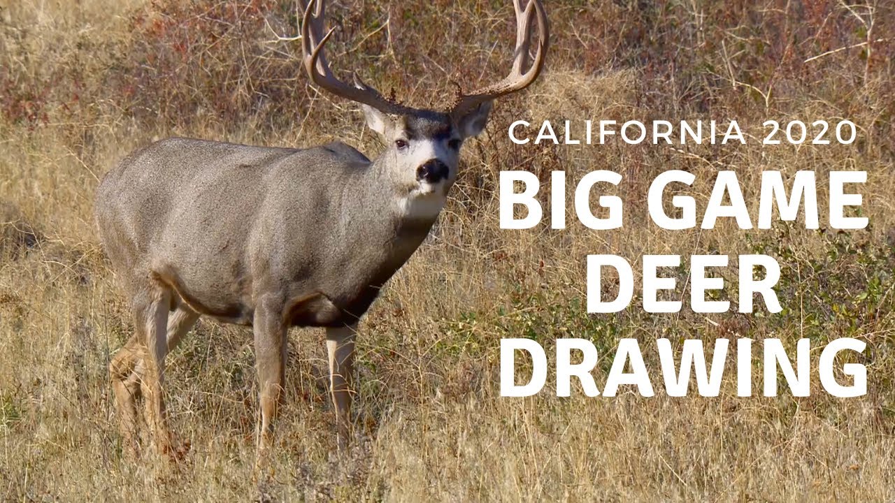 Deer California Big Game Drawing YouTube