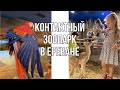 Армения/Ереван: библиотека, Zoolandia Exotarium в ТЦ РИО