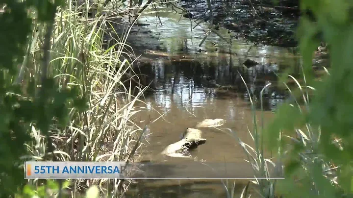 Earth Day volunteer cleanup in North Charleston