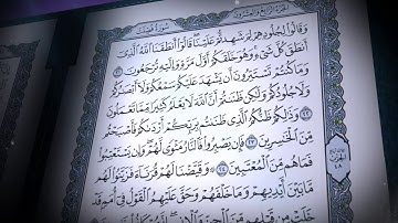 سورة فصلت | صلاح بو خاطر