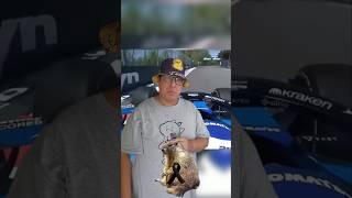 Atropellaron a una marmota en la F1 #f1