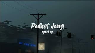 PEDHOT JANJI (LAM-LAMAN ESEMMU) Speed Up Reverb II Tik Tok Version