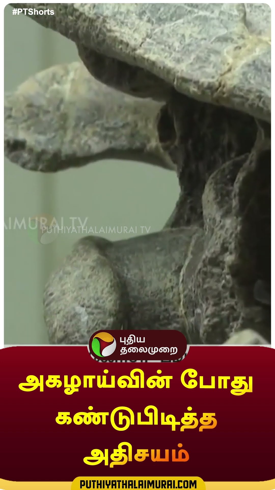 அகழாய்வின் போது கண்டுபிடித்த அதிசயம் | #shorts | #dianosur | #china
