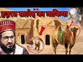 Hazrat saleh as ka waqia  full story of prophet saleh  mufti salman azhari bayan  by tajul islam