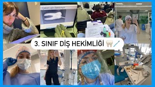 Tüm 3. Sınıf Diş Hekimliği Sürecim *Fotoğraflarla 🦷