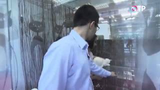 В Москве появился 5-звездный кошкин дом (06.06.2014) В Москве появился 5-звездный кошкин дом (06.06.2014)