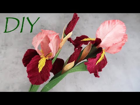 Video: Cum Se Fac Irisuri Din Hârtie Ondulată