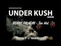 Under kush riddim mix  lionsflow productions