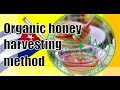 Organic honey harvesting method