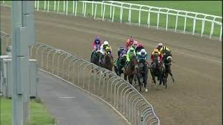 Vidéo de la course PMU PRIX HOLLYWOODBETS BRIGHT FUTURE QUALIFIED MAIDEN PLATE