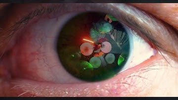 Sum of All Your Fears - The Suicide Six featuring TRANK (Official Music Video)