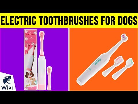 Video: Fordeler med elektriske tannbørster til hunder