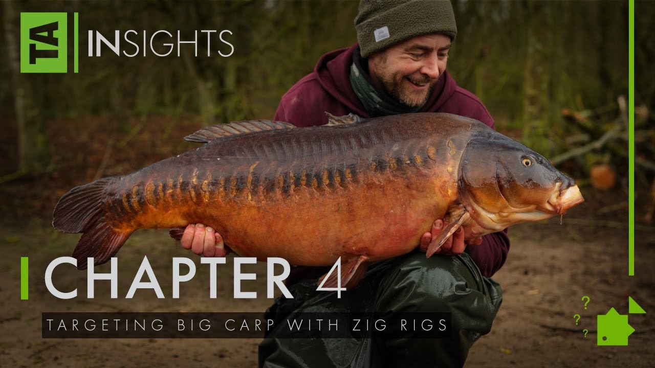 Targeting Big Carp with Zig Rigs, TA, Insights