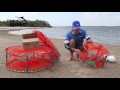 How to set-up crab pots to catch mud crabs & sand crabs