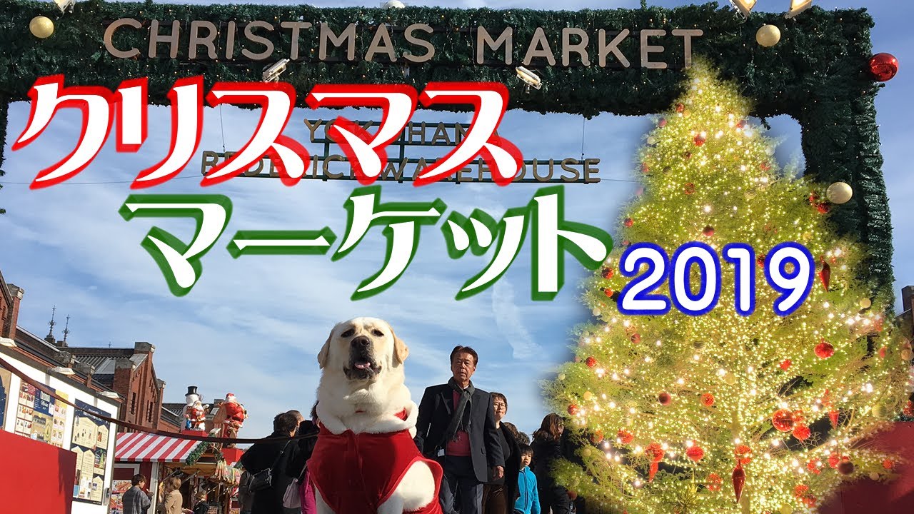 大型犬手作りサンタ服 ラブラドールレトリバーどんのクリスマス衣装を作ってみた Diy How To Make Dog Clothes Christmas Costume Youtube