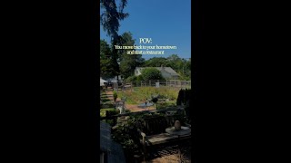 Cozy Mystery Book