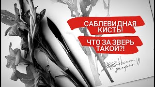 Саблевидная кисточка, это что за зверь такой?! Саблевидная кисточка, это что за зверь такой?!