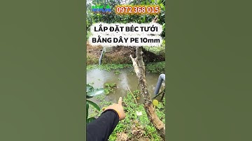 Hệ thống tưới phủ bằng dây PE 10mm, sử dụng béc MK99 150l/h của MKA