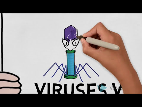 וִידֵאוֹ: האם וירוסים מדביקים תאים אוקריוטיים?