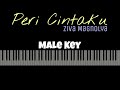 Peri Cintaku - Ziva Magnolya [Karaoke Piano - Male Key]