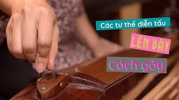 Học Đàn Bầu - Bài 1: Các tư thế diễn tấu, lên dây và cách gảy cơ bản