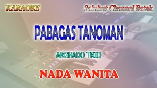 PABAGAS TANOMAN ll KARAOKE BATAK ll ARGHADO TRIO ll NADA WANITA ES=DO