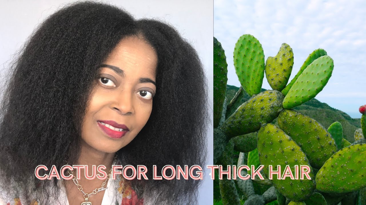Cactus Oil for Hair Growth | Our . Take
