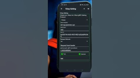 V2Ray Slow DNS Setup with ZiVPN  | Fast & Secure VPN Guide (2025)