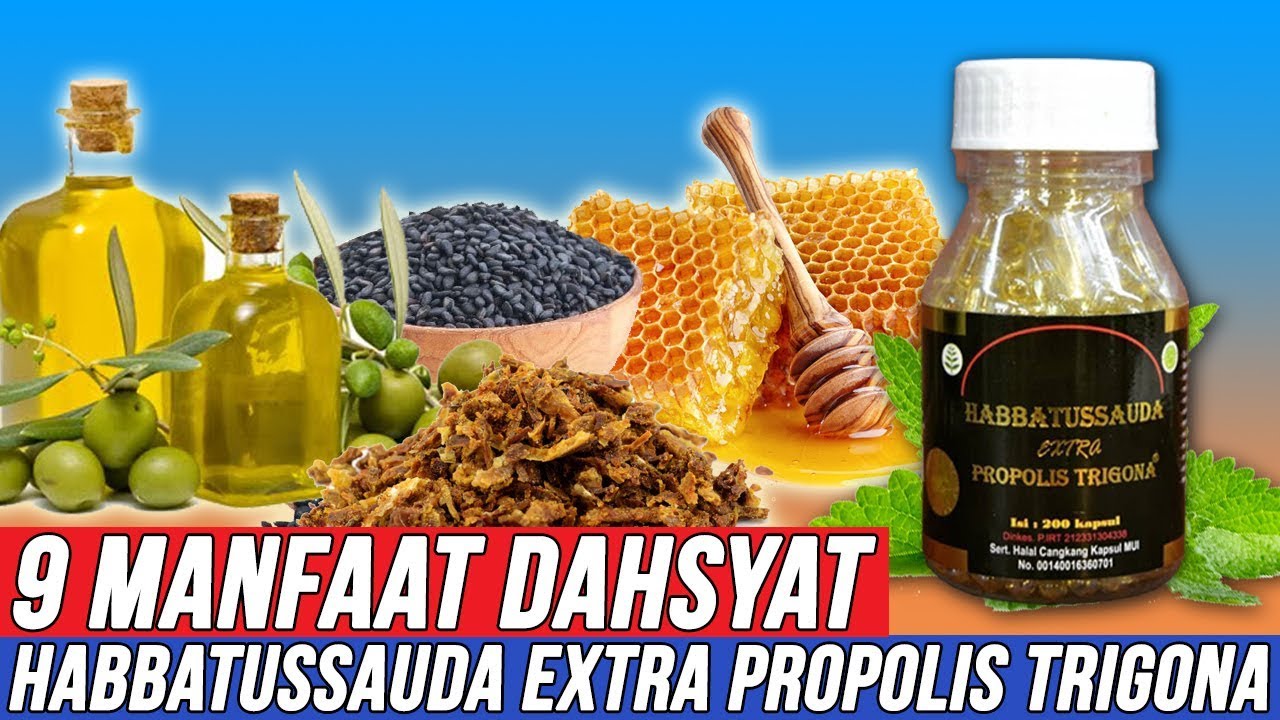 Dahsyat Inilah 9 Manfaat Habbatussauda Extra Propolis Trigona Bagi
