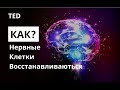 Нервные клетки восстанавливаются. Как будут лечить инсульт в 2030? Жослин Блок, TED