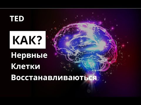 Видео: Континуум причинности в генетических нарушениях человека