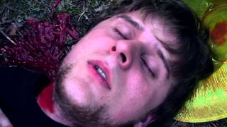 Лесная Месть (2013)