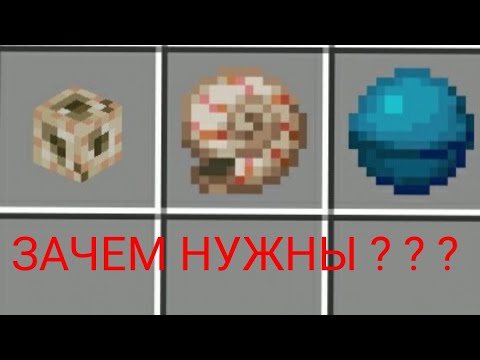 СЕРДЦЕ МОРЯ, РАКОВИНА НАУТИЛУСА И ПРОВОДНИК - ДЛЯ ЧЕГО НУЖНЫ?????