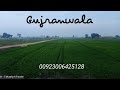 Gujranwala  rural area gujranwala  green fields  short tour  musafar a traveler   