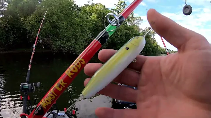 Using Carolina Rig + Demon Dragon Float for Flathead Catfish