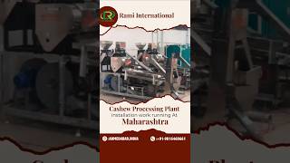 Hi Speed Cashew Processing Plant Installation Work Running At Nagpur (Maharashtra)🌰#cashewprocessing