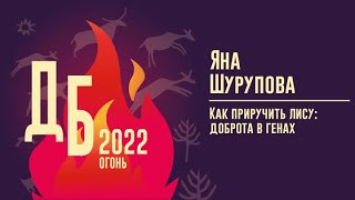 Как приручить лису: доброта в генах - Яна Шурупова, День биолога 2022