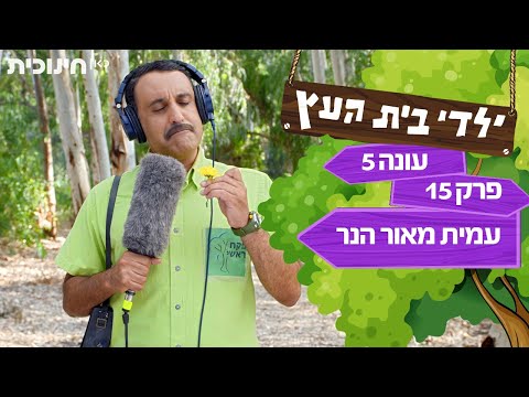 וִידֵאוֹ: מוזיאון כתוכנית חינוכית