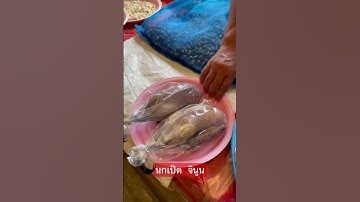 นกเป็ด wild duck จินูน insects #viral #shortoftheday #แซ่บๆอีสาน #นกเป็ด #wildducks