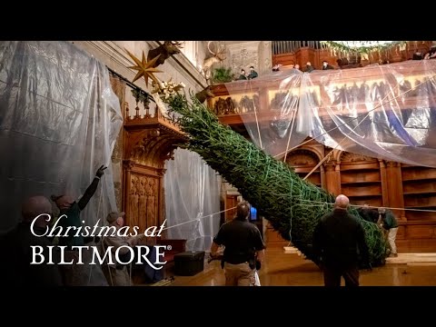 Video: Bilakah waktu Krismas pada 2021?