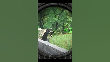 Scar DMR! Scum Sniper/Rifle & Attachments!