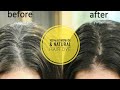 Homemade Hair Dye | No Orange Colour of Hena |100% Natural Hair Colour | No Side effects | in Hindi