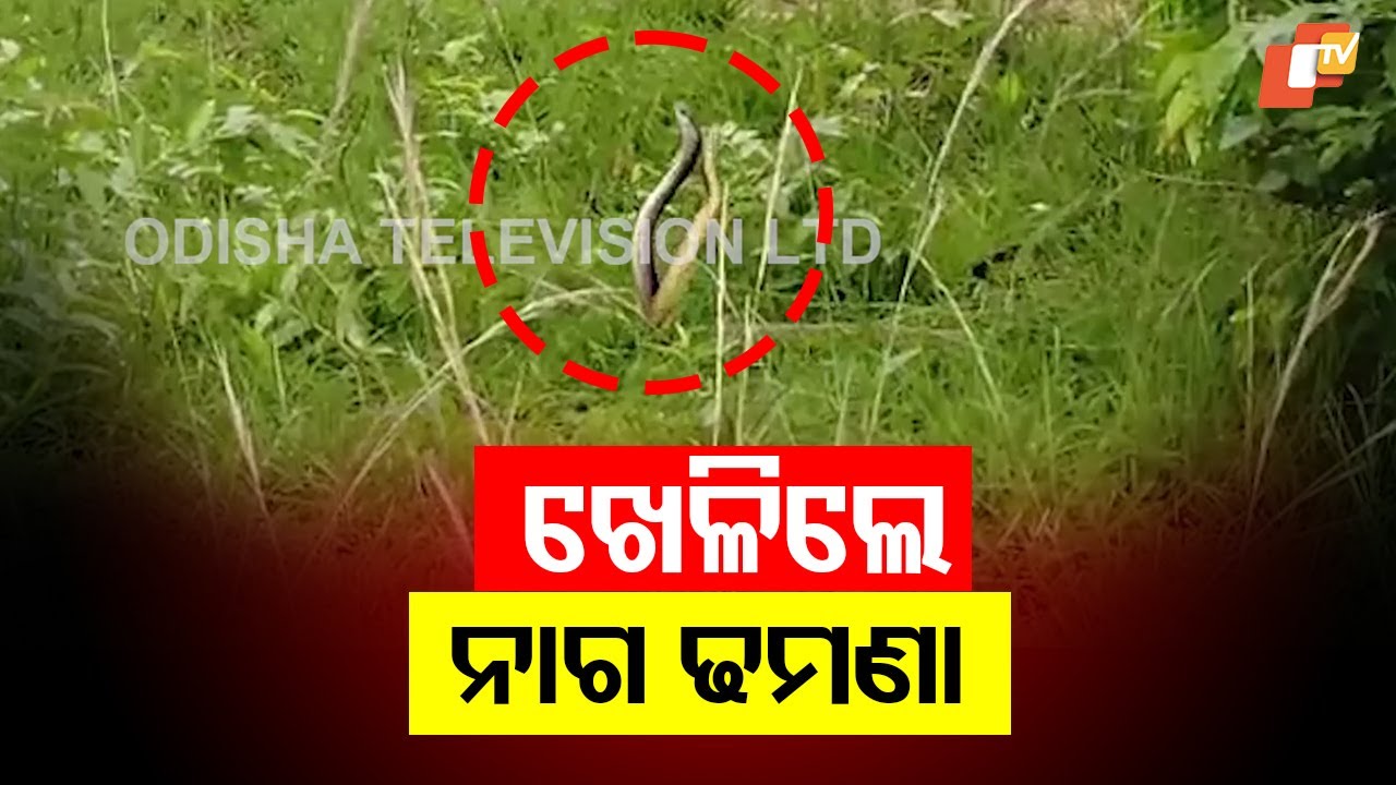 Devotees Captured Playing “Nāga Dhamanā” Snake-Rope Ritual in Boudh