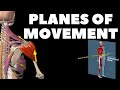 Planes of Movement in Human Anatomy and Exercise